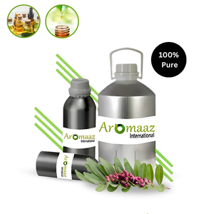 Aceite de Hoja de Lentisco 100% Puro y Orgánico, Aceite Esencial de Pistacia Lentiscus, Precio al por Mayor - Product Image 5