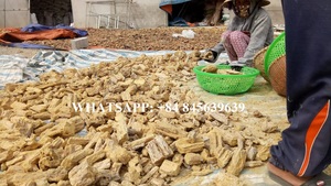 Fournisseur exportateur damar batu damar résine prix bonne exportation marché indien emballage carton - Product Image 5