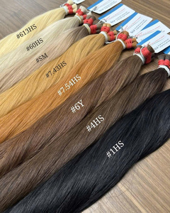Extensions de Cheveux Naturels Vietnamiens Vierge Remy de Qualité Supérieure, Lisses, en Gros, Double Trame Thanh Machine, 20-85g, Toutes Couleurs - Product Image 1