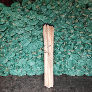 ขายด่วน-ไม้แปรงชุบ PVC เคลือบเวียดนามด้ามไม้ไม้กวาดไม้/ด้ามไม้ไม้กวาดไม้ - Product Image 6