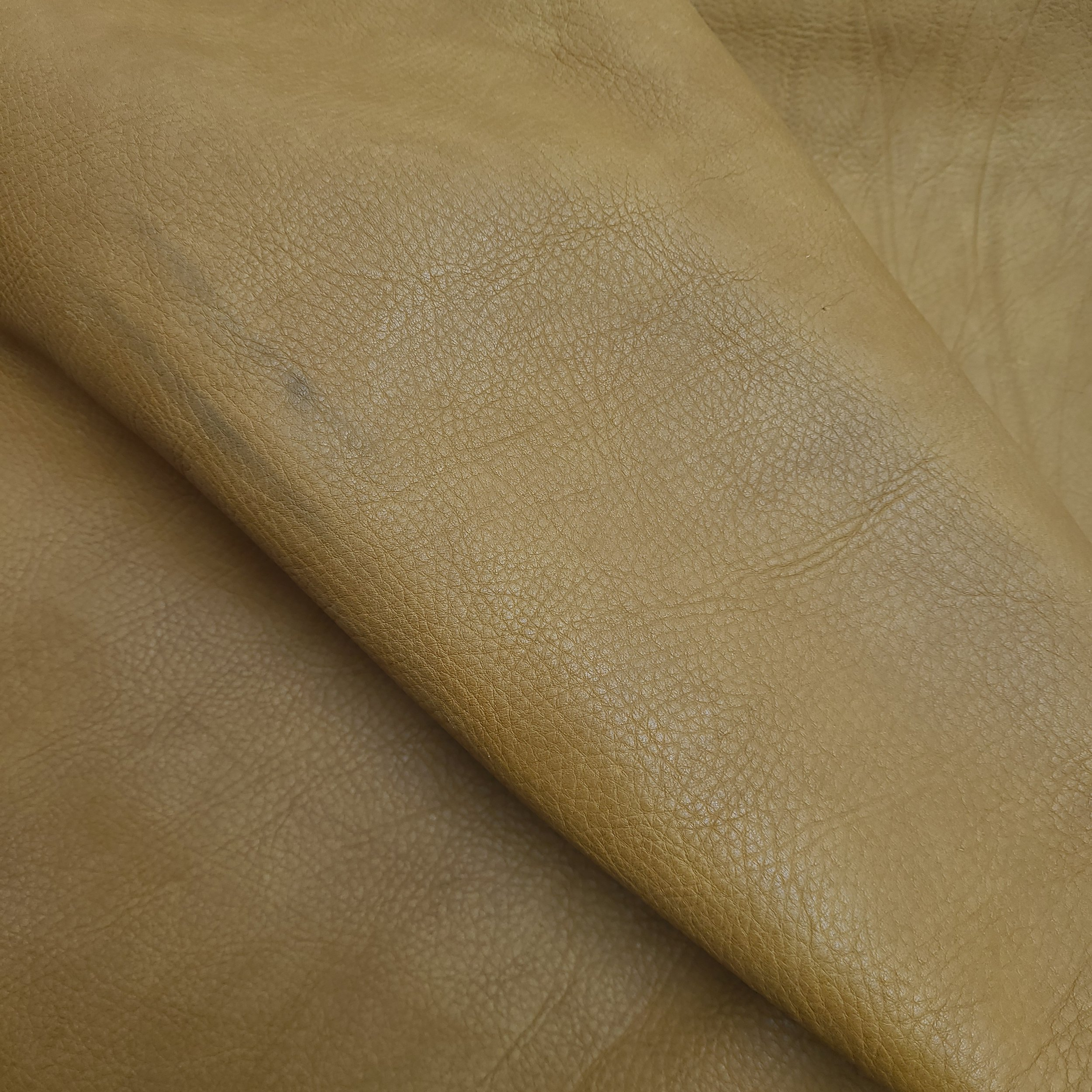 Actualizar 96+ imagen como curtir piel de cocodrilo Abzlocal.mx