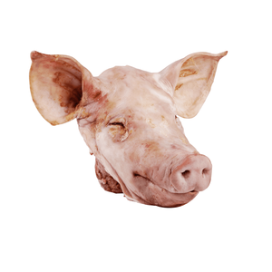 Têtes de porc congelées-Viande prête à l'emploi pour la transformation des aliments et les applications culinaires-Viande de haute qualité pour l'industrie alimentaire - Product Image 4