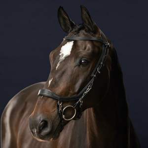 Bride anatomique CHEVAL BRIDLE DELUXE ANATOMIQUE EN CUIR ÉLEVÉ CHEVAL BRIDLE DELUXE ANATOMIQUE CUIR ÉLEVÉ - Product Image 3