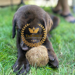 Bola de fibra de coco de muy alta calidad, juguetes para masticar perros de fibra de coco, Bola de juguete para masticar fibra de coco para perros de Vietnam - Product Image 1