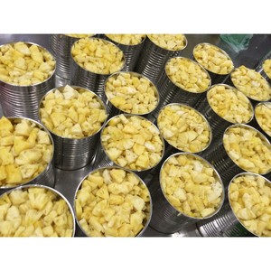 Ananas en conserve-DEVIAS- VIETDELTA - Product Image 2