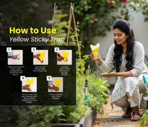 Chipku กับดักเหนียวสีเหลืองสำหรับพืช10แพ็ครูปผีเสื้อ | กับดักแมลงปลอดสารพิษสำหรับแมลงกัดแทะ, แมลงหวี่ขาว, เพลี้ยอ่อน - Product Image 4