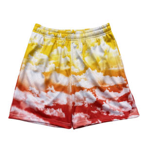 OEM Heavyweight Polyester <b>Men's</b> Gym Basketball Mesh <b>Shorts</b> 5 Inch Double Layer Elastic Waist Custom Breathable Design Wholesale - Product Image 4