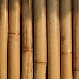 Custom <b>Bamboo</b> Poles for Building <b>Material</b> Structural Grade Treated Anti Termite Wholesale - Product Image 1