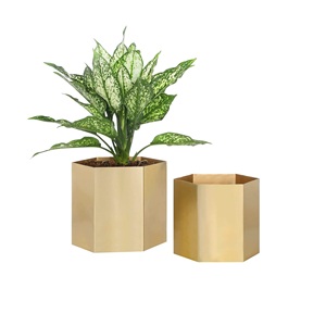 Meilleur prix Vase à fleurs carré en métal moderne écologique suspendu Revêtement poudré ADIBA HOME DECOR Tabletop Garden Home Gardening - Product Image 1