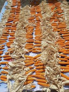 Handmade decorative dried corn, perfect for eco-friendly <b>home</b> <b>decor</b>, autumn celebrations, and <b>rustic</b> event styling. - Product Image 2