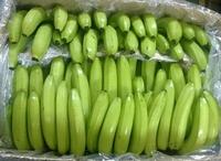 Biologische Premium Cavendish Groene Verse Bananen Gezond Fruit 100% Puur Vol Voedingsstoffen Geschikt voor Spieropbouw Ecuador Nu op Voorraad!