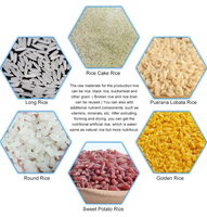 Ligne de production de riz artificiel entièrement automatique, extrudeuse de riz nutritionnel personnalisée, machines de transformation