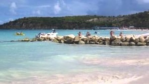 Projets de meubles sur mesure longs en hêtre Bûches de bois de qualité à prix compétitif pour l'artisanat - Product Image 6