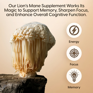 Extrait de champignon Crinière de lion biologique Hearns 500 mg, 60 capsules, 2 prises quotidiennes pour la santé cérébrale et le soutien immunitaire des adultes - Product Image 4