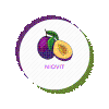 GT CALANCEA ION NICOLAE logo