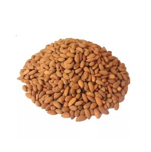 Amandes brutes naturelles, collation saine et riche en protéines, idéale pour la consommation quotidienne et les commandes en gros à grande échelle - Product Image 3