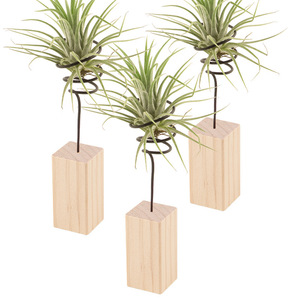 قاعدة خشبية بسيطة اسكندنافية-قوس نبات الهواء مع ملحقات الأناناس زخرفة سطح المكتب بدون تربة لديكور المنزل - Product Image 3