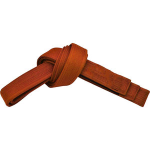 Cinturones de BJJ y Taekwondo Unisex de alta calidad, nueva moda, ropa de artes marciales bordada multicolor, diseño personalizado, OEM disponible - Product Image 2