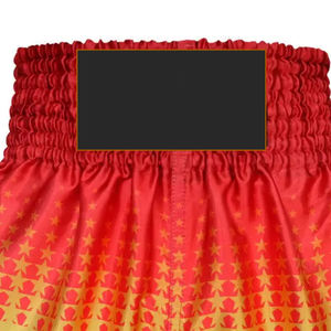 Pantalones Cortos Deportivos de Malla Personalizados para Hombre, de Alta Calidad, Transpirables, de Tela de Poliéster Resistente, para Kickboxing, Muay Thai, MMA y Boxeo - Product Image 5