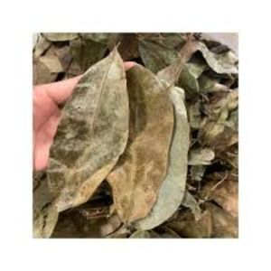 Sachets de thé 100% feuilles de corossol naturelles Sachet de thé FEUILLE DE GRAVIOLA EMBALLAGE OEM - Product Image 6