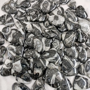 ฟอสซิลพลอยเทียมทรงหลวมสำหรับประดับอัญมณี - Product Image 3