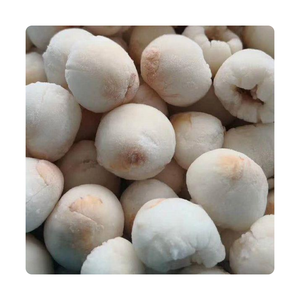 Lichi congelado IQF | Sabroso y jugoso | Adecuado para batidos y bebidas | Origen de Vietnam - Product Image 5