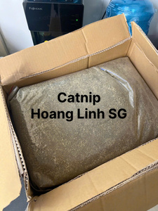 Poudre de feuilles de catnip séchées en gros pour usine, jouets interactifs au catnip pour la sécurité des chats, en sachet OPP, du Vietnam HOANG LINH SG - Product Image 2