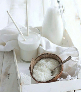 100% กะทิบริสุทธิ์จากภูมิภาคมะพร้าวที่มีชื่อเสียงของเวียดนามในราคาโรงงาน - Product Image 2