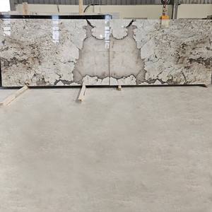 Merveilleuse pierre de quartzite de luxe rétroéclairée translucide blanche pour les élévations de murs et les applications de design d'intérieur - Product Image 2