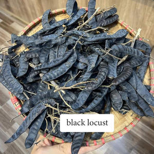 Langosta negra de alta calidad al por mayor, buen precio, langosta del mejor fabricante vietnamita - Product Image 3