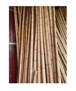 Poteau de bambou-poteaux de bambou droits secs naturels du Vietnam - Product Image 1
