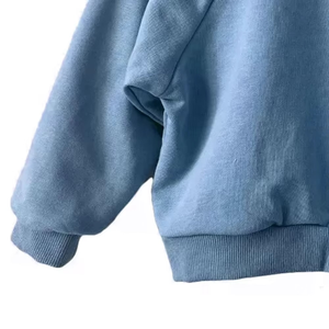 Conjunto de chándales para niños de manga completa lisos sólidos al por mayor, ropa de entrenamiento polar, Sudadera con capucha para niños, ropa deportiva de alta calidad para niños - Product Image 4