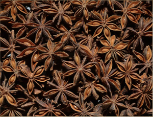 L'anis étoilé séché de haute qualité de Blue Lotus Farm est maintenant disponible pour l'exportation - Product Image 5