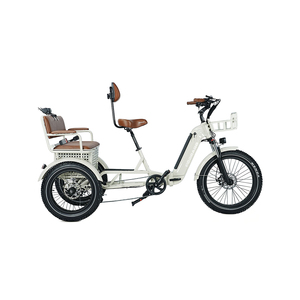 Tricycle à passagers haut de gamme avec moteur électrique puissant, organisé pour l'approvisionnement en gros et les commandes importantes - Product Image 1