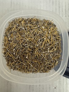 Alfileres de cabeza dorados TRIM GOLD de latón chapado en oro, hechos en Austria, modelo AUBCS364945 - Product Image 4