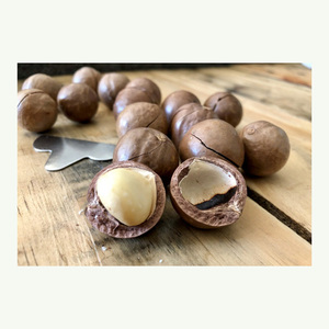 Noix de macadamia Poudre de maca crue salée rôtie Nourriture saine Macadamia en coquille - Product Image 5