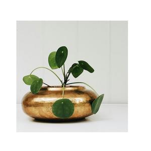 Jardinière en aluminium au design unique pour une arrangement élégant des plantes dans les salons, les patios, les bureaux et les jardins - Product Image 1