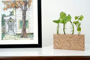 Maceta de ladrillo de grano Natural de corcho ecológica, macetas de mesa, macetas para decoración de catering para el hogar para uso residencial - Product Image 2