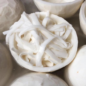 Carne de Coco Congelada Premium de Vietnam para Procesamiento de Alimentos (Entera/Rebanada/Cubos/Triturada) - Product Image 1