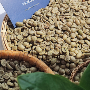 Meilleur vendeur Grains de café vert arabica et robusta du Vietnam de qualité supérieure Produit de haute qualité - Product Image 2
