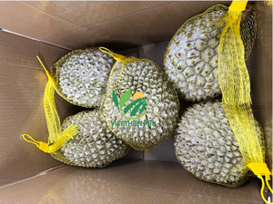 Haute qualité IQF congelé Durian VIET THIEN PHU-VIET NAM goût sucré sain eau préservée prix compétitif emballage en vrac fruits - Product Image 4