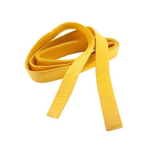 Vente en gros de vêtements légers brodés avec logo personnalisé, uniformes d'arts martiaux, taekwondo, karaté et judo brésiliens pour enfants - Product Image 1