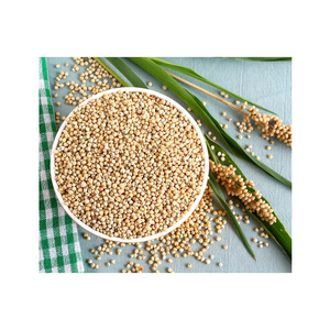 Fabricante de productos más vendidos de grano de sorgo rojo y blanco a granel a precio asequible - Product Image 4