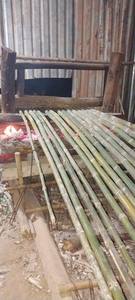 Canes en bambou de petit diamètre de haute qualité pour le soutien des fleurs, piquets de jardinage pour pépinière, vente en gros - Product Image 2