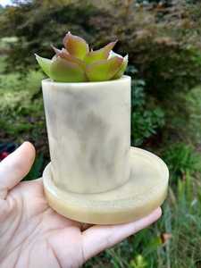 POTS DE FLEURS - Product Image 4