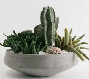 Jardinières en béton de décoration intérieure de luxe pour la maison balcon jardin intérieur et extérieur jardinières décoratives en béton décor à la maison - Product Image 1