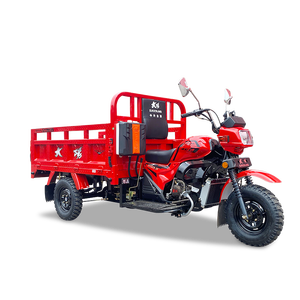 Triciclo barato trimoto carga triciclo adulto fabricante WAW valor competitivo - Product Image 6