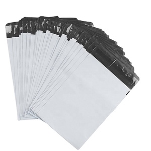 Los conceptos básicos del mundo de las bolsas de correo desde Vietnam Productor de pedidos personalizados-Fabricación de envases de plástico ODM - Product Image 1