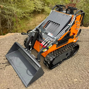 Minicargador barato CE EURO5 EPA, minicargador de orugas de rueda diésel con motor EPA, minicargador de oruga para todo terreno, envío gratuito - Product Image 1