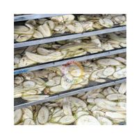 99 GD Polvo de Plátano Cavendish 100% Puro de Primera Calidad, Uso Instantáneo, Hecho en Vietnam, Almidón Disponible en Bolsa/Tambor/Sobre